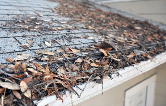 Downspout Drainage System